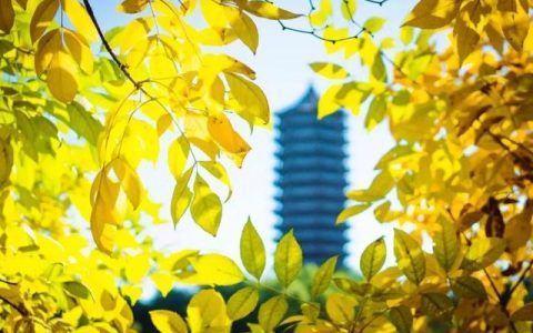 这样的北大，谁不爱！北京大学121岁生日！