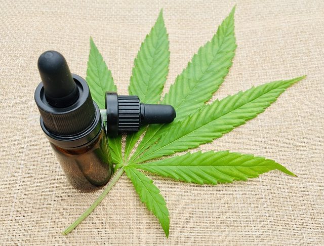 cbd öl dm