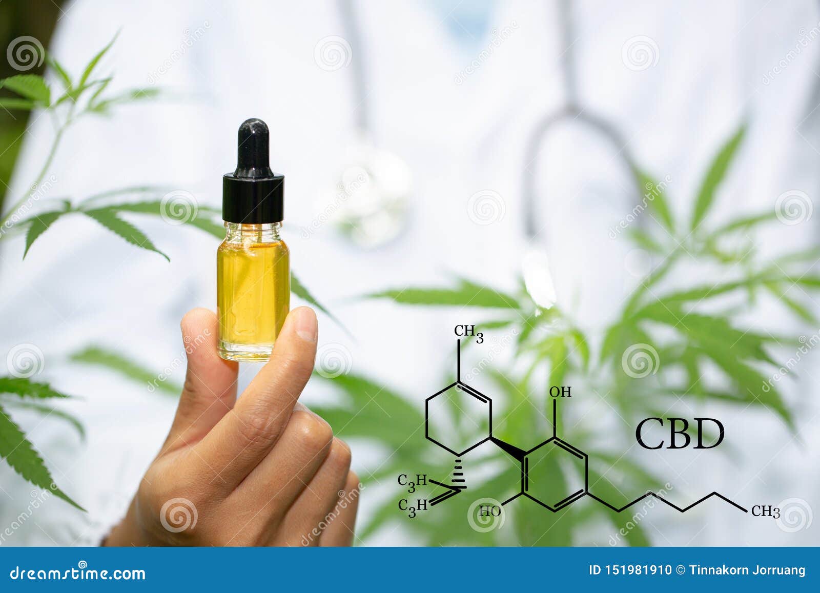 cbd öl dm